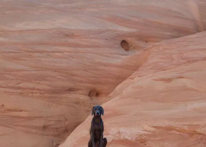 Gorgeous Vacation In Arizona, Near Antelope Canyon Page